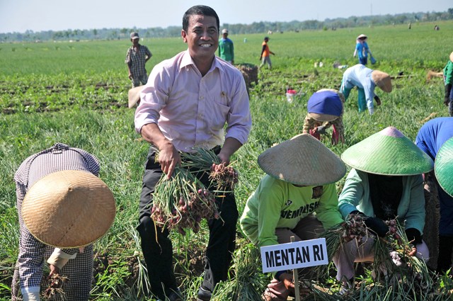 Prospek 2016: Pasokan Cabai dan Bawang Terjamin, dan Harga Stabil